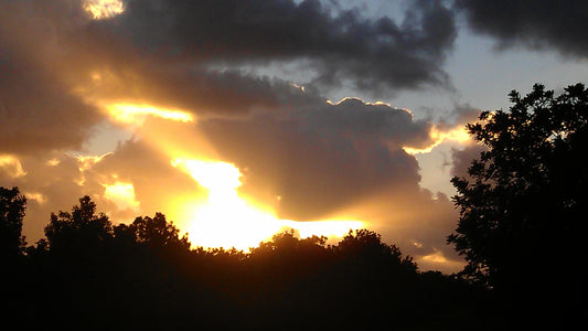 The Power of Fragrance: Unlocking Core Memories